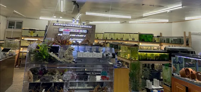 Danbury Aquarium and supplies Picture 9