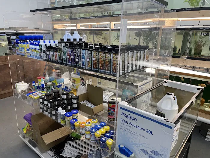 Danbury Aquarium and supplies Picture 6