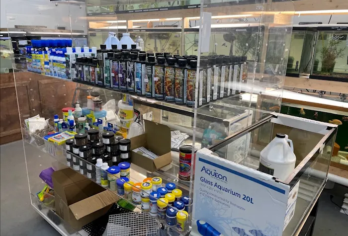 Danbury Aquarium and supplies Picture 10