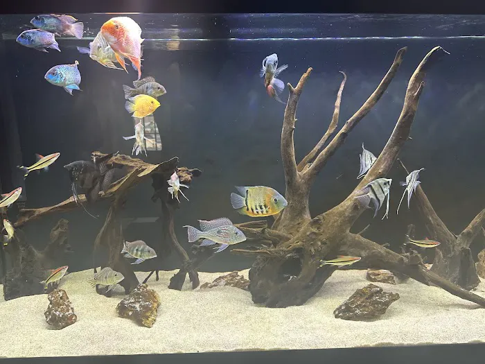Danbury Aquarium and supplies Picture 1
