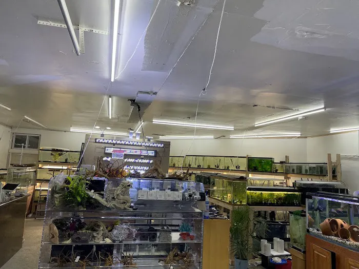 Danbury Aquarium and supplies Picture 4
