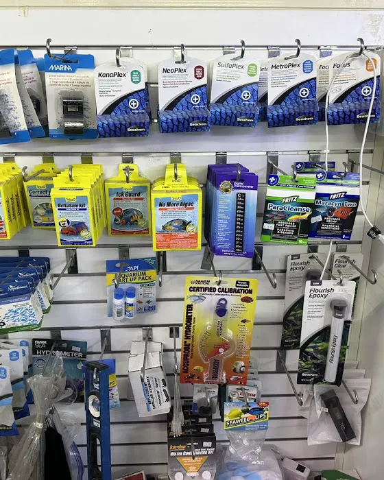 Danbury Aquarium and supplies Picture 7