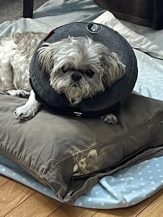 VEG ER for Pets Picture 3
