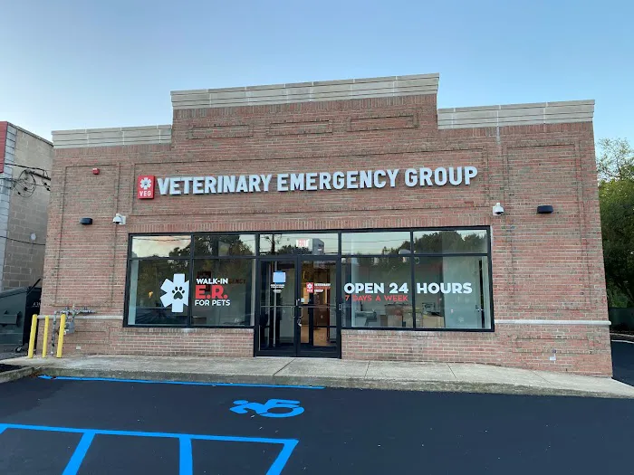 VEG ER for Pets Picture 5