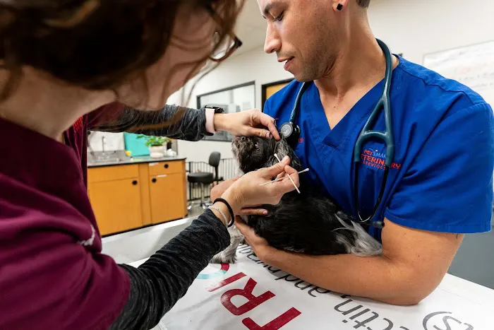 PetSmart Veterinary Services - Commack Picture 7