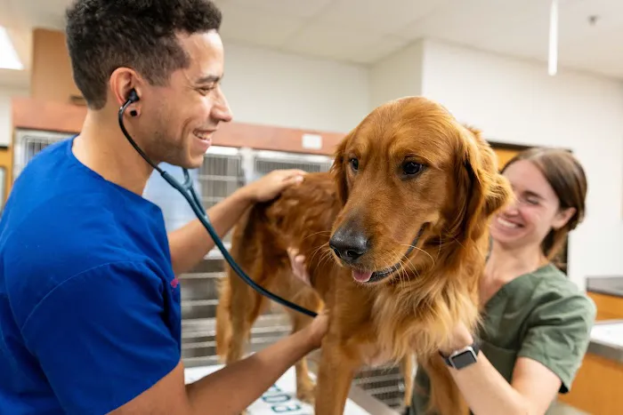 PetSmart Veterinary Services - Commack Picture 9