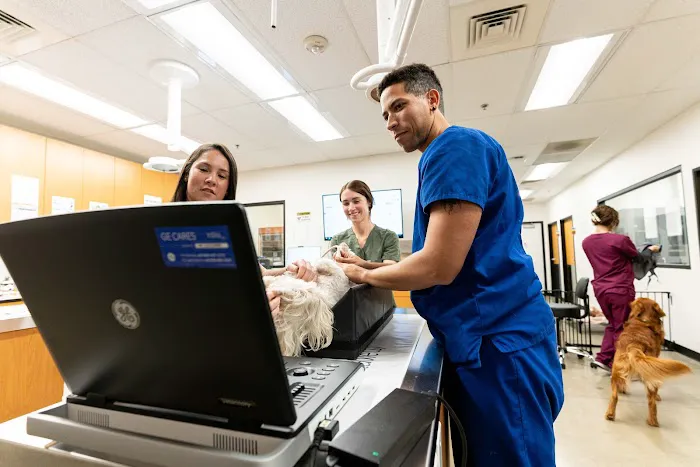 PetSmart Veterinary Services - Commack Picture 6