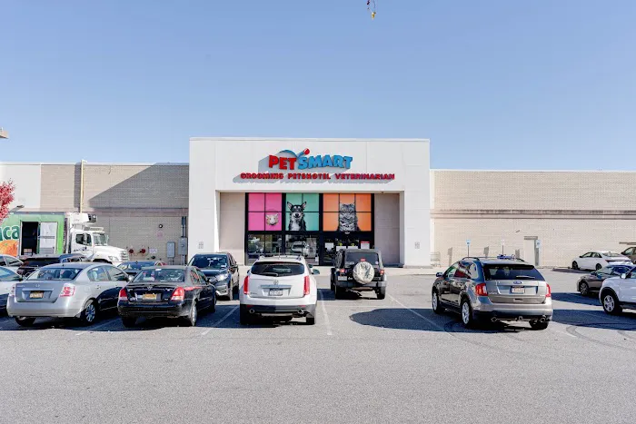 PetSmart Veterinary Services - Commack Picture 8