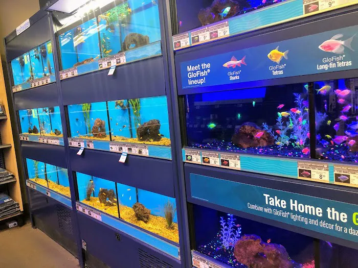 Petco Picture 9