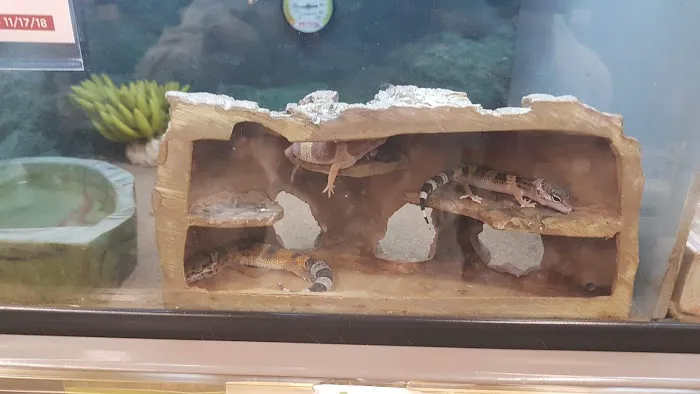 Petco Picture 2
