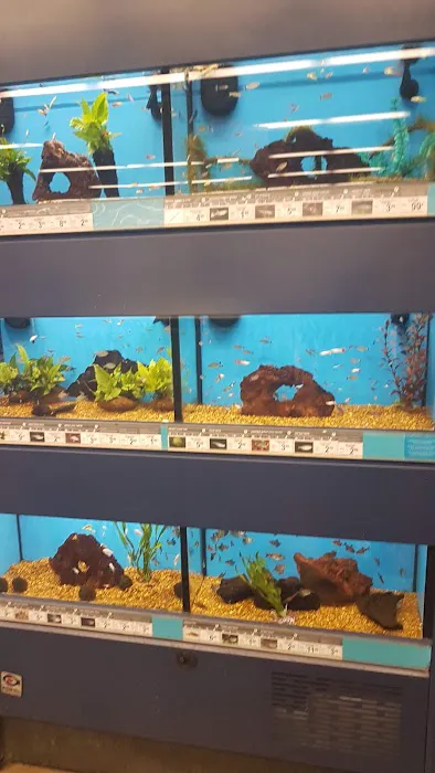Petco Picture 3