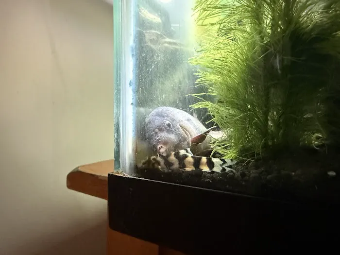 Petco Picture 10