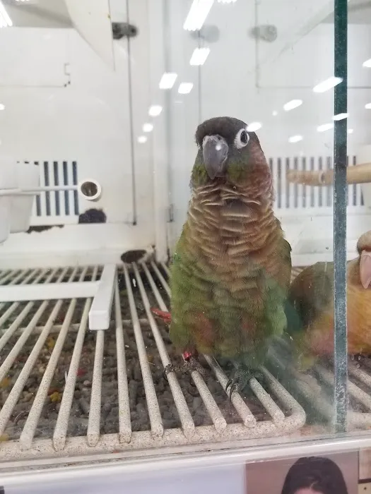 Petco Picture 1