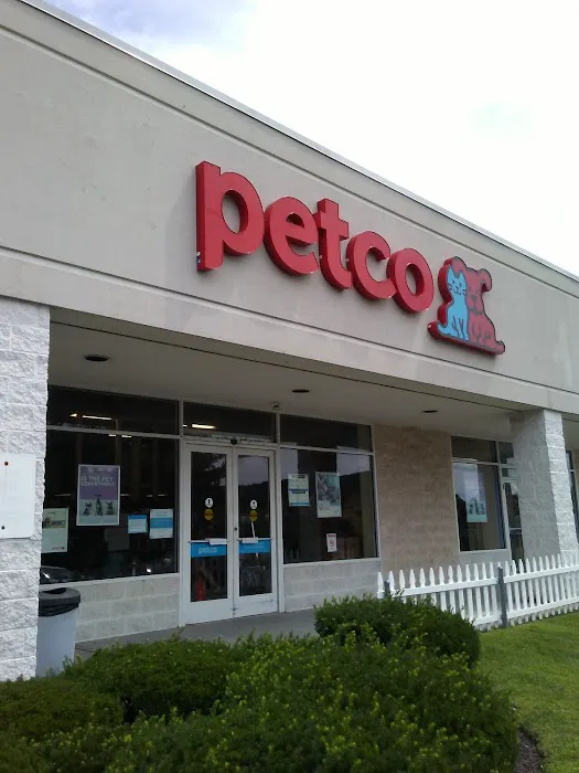 Petco Picture 2