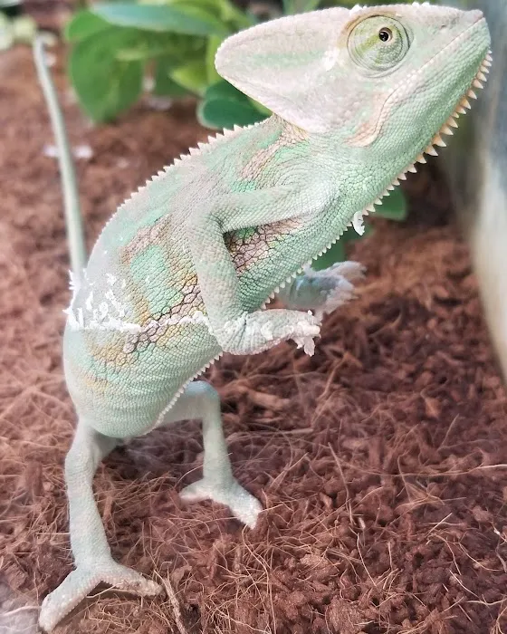 Petco Picture 7
