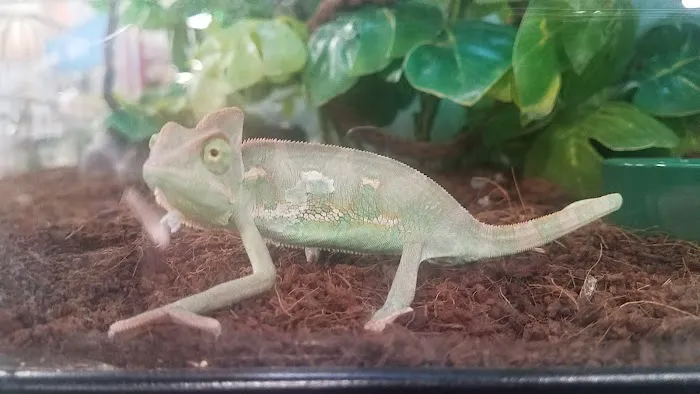 Petco Picture 4