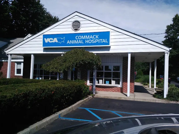 Commack Animal Hospital Picture 5