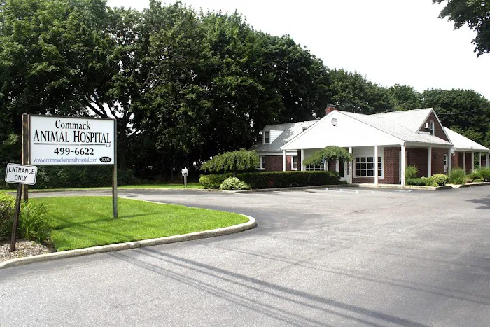 Commack Animal Hospital Picture 7