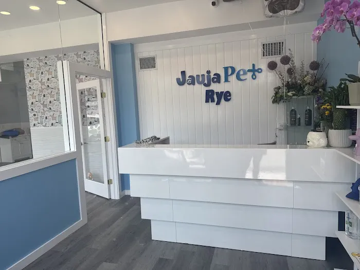 Jauja pet Grooming Rye Picture 1