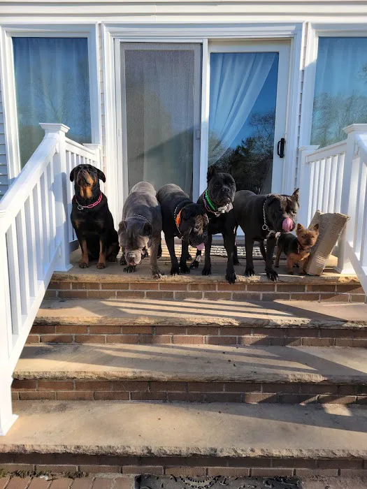 Smithtown Animal Hospital Picture 4
