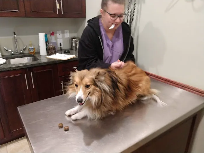 Towne Line Veterinary Group Picture 5