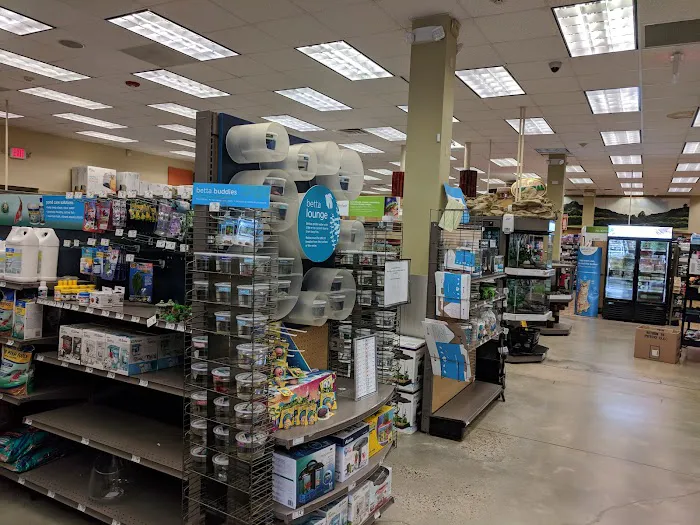 Petco Picture 6