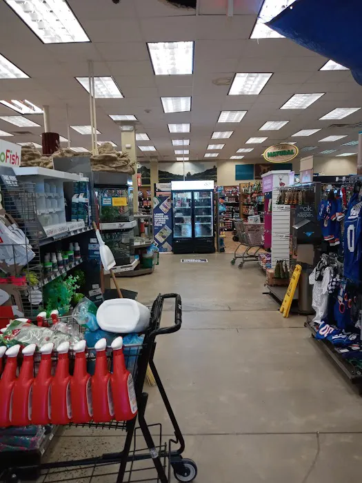 Petco Picture 4
