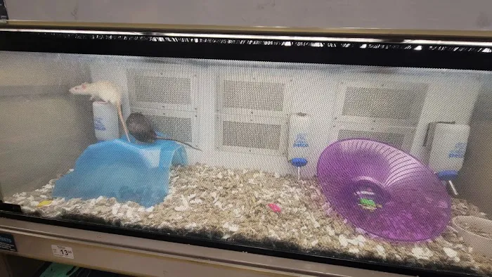 Petco Picture 10
