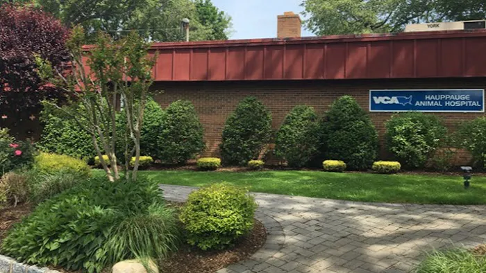 Hauppauge Animal Hospital Picture 4