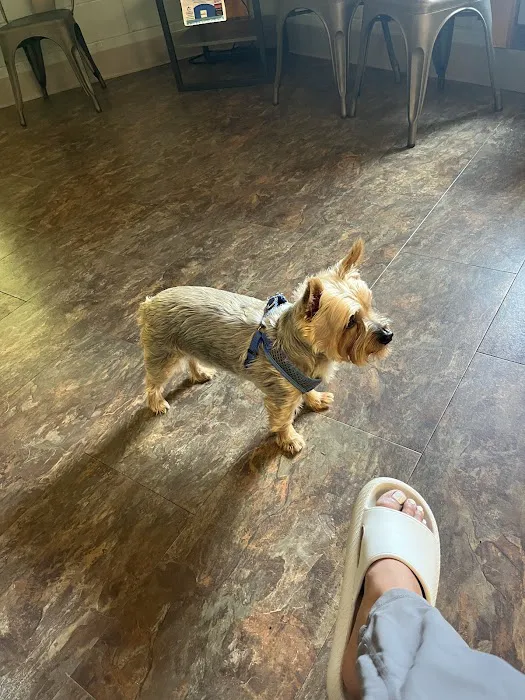 Hauppauge Animal Hospital Picture 6