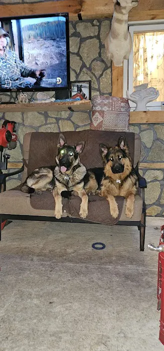 Mamas Papas Pet Shop Picture 7