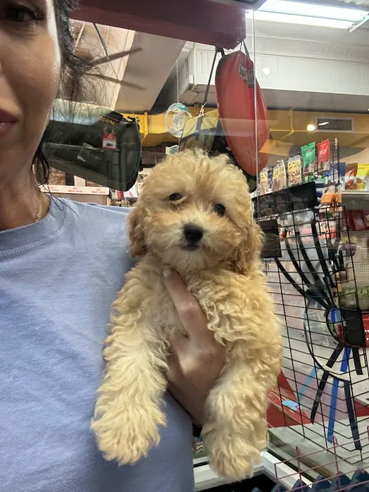 Mamas Papas Pet Shop Picture 4