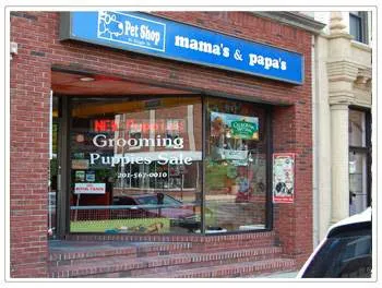 Mamas Papas Pet Shop Picture 5