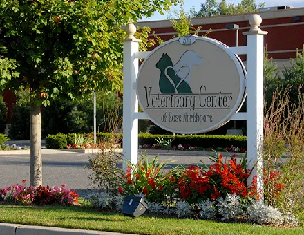 Veterinary Center of East Northport Picture 4