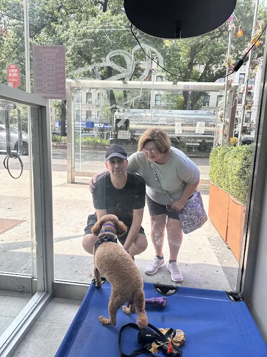 WandererHub Pets Salon - Hamilton Heights Picture 9