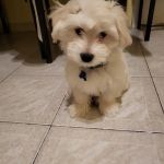 Pet Pantry Warehouse