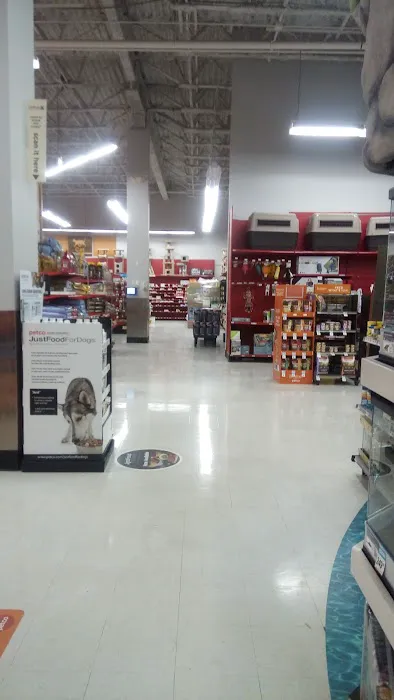 Petco Picture 4