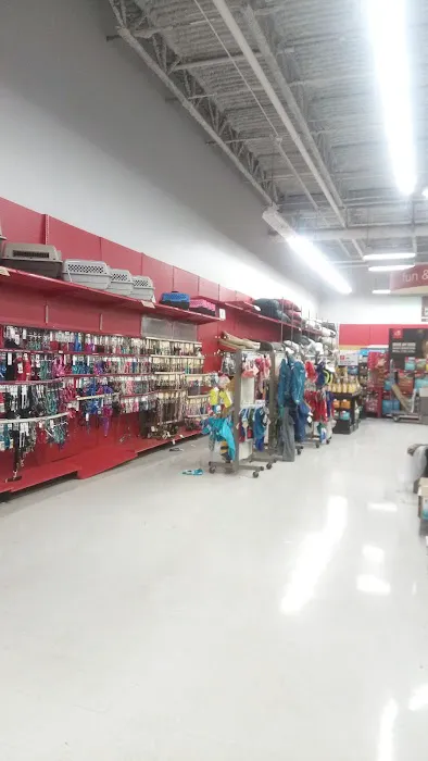 Petco Picture 6