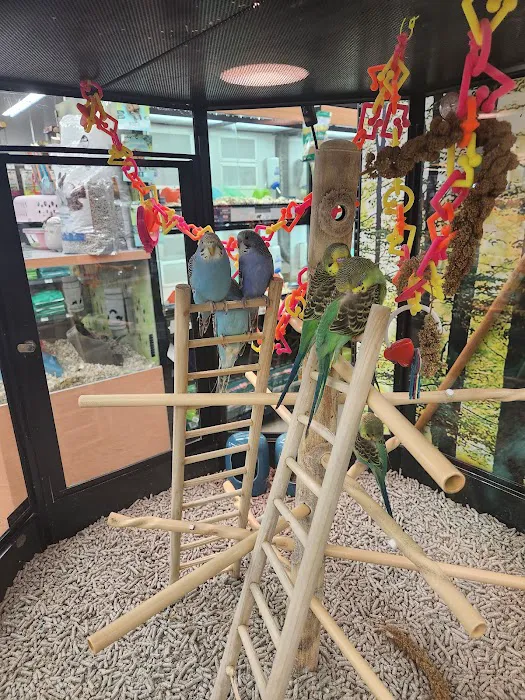Petco Picture 10
