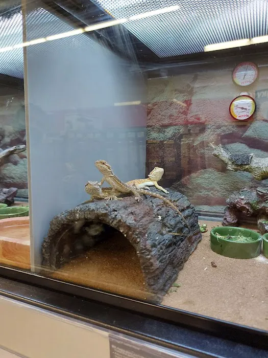 Petco Picture 2