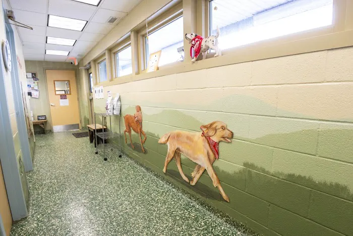Dix Hills Animal Hospital Picture 9