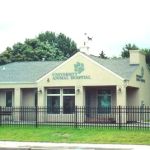 University Animal Hospital