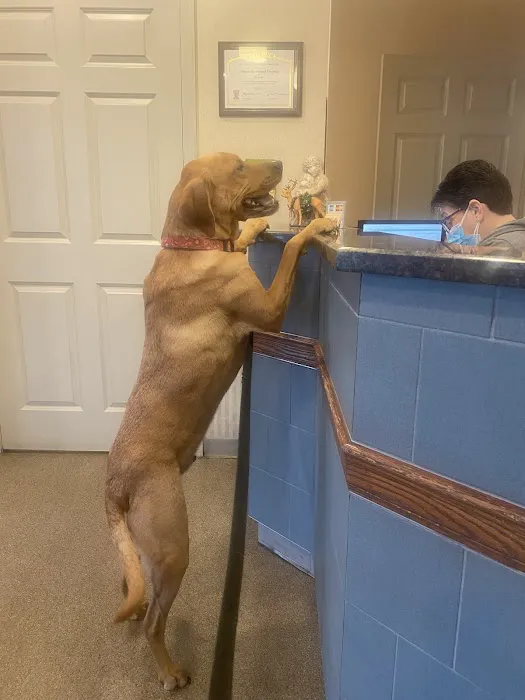 University Animal Hospital Picture 8