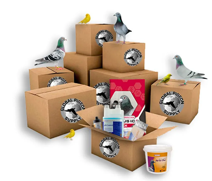 Global Pigeon Supplies Picture 1