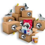 Global Pigeon Supplies