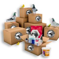 Global Pigeon Supplies ico