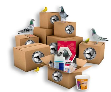 Global Pigeon Supplies