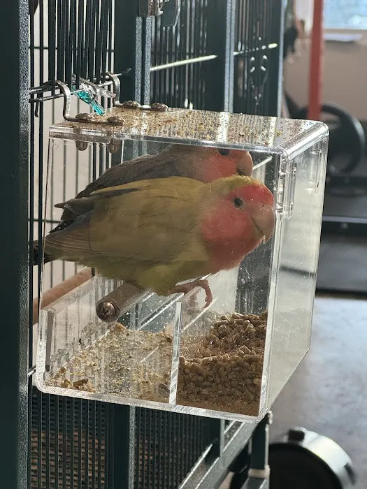 New York Bird Supply Picture 4