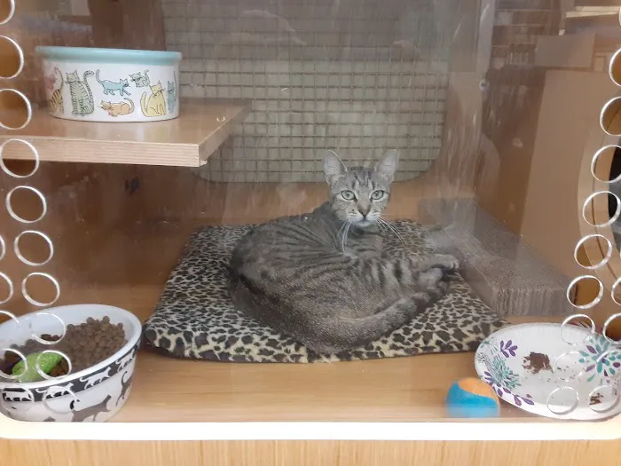 Petco Picture 4