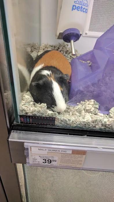 Petco Picture 6